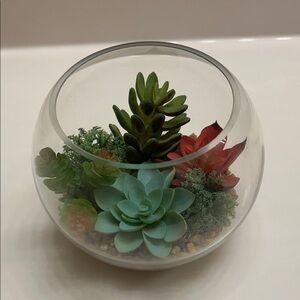 Pier1 Glass Terrarium